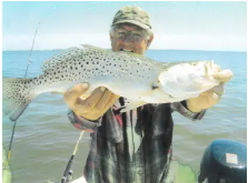 David Lewis Jones, Sr.