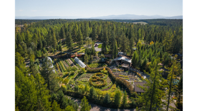 Executive Team Off-Site Disconnection? Glacier Retreat Facilitator Explains
