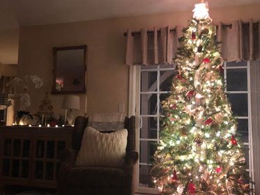 Tammy and Steve, MILFORD