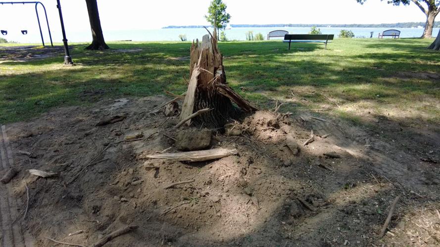 The Town of Oxford Cleans Up From Monday Night's Storm