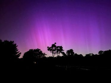 Northern Lights Princess Anne