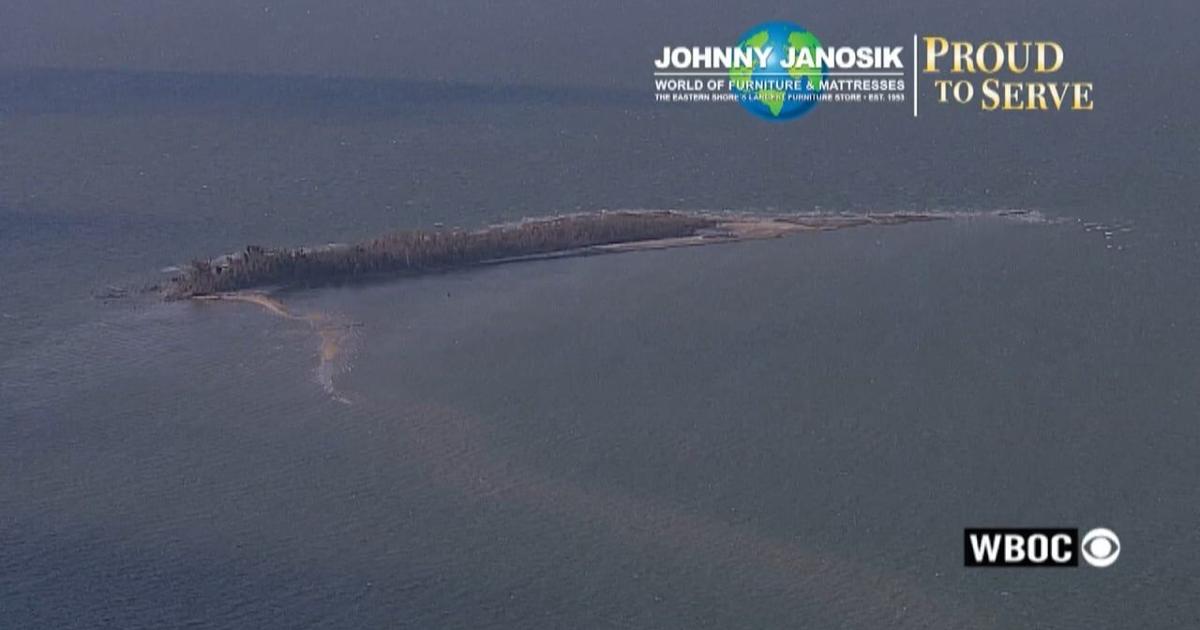 Watts Island Rocks Proud to Serve: Watts Island | Latest News | wboc.com