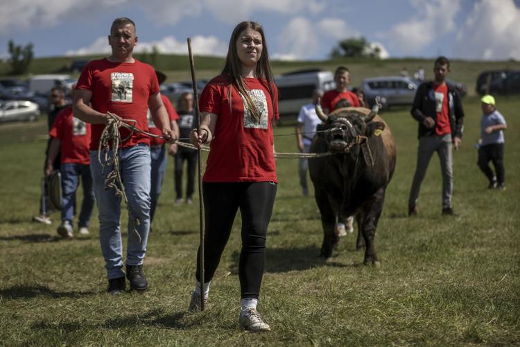 Bosnia Bullfighting Girl
