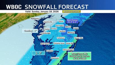 Snowfall forecast 1.17.26