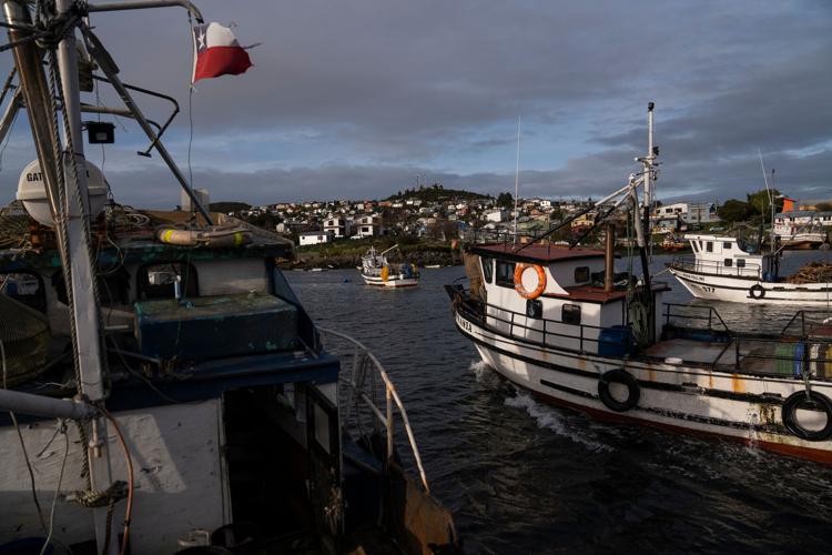 Chile Salmon Farms
