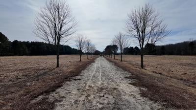 Trail System