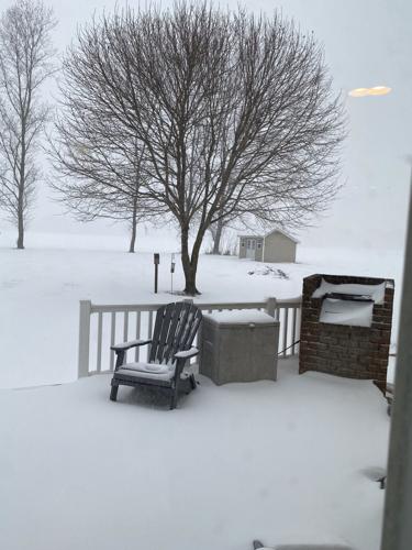 Carole Swinski - Centreville MD.jpeg