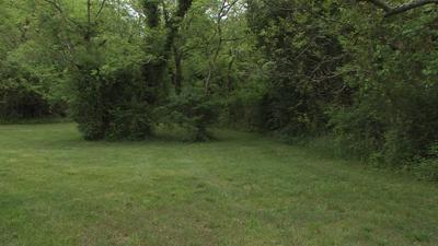Highland Heights Proposal Passes for Lewes' "4th Street Forest"
