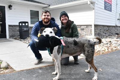 Finley Mega Adoption 2025