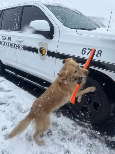 Berlin Police Dept. - K9 Dock