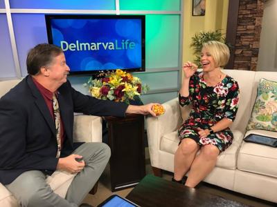 23030859_10215079114553555_1631196234_o