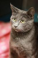 bust1511217590width500-x