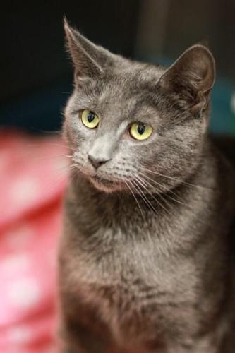 bust1511217590width500-x