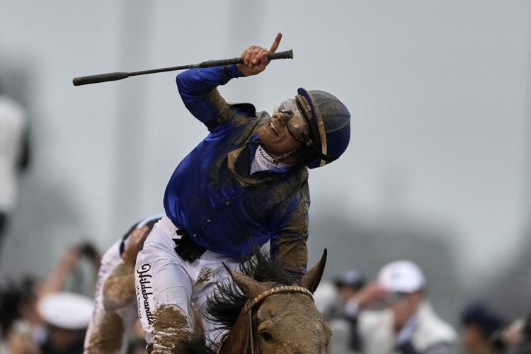Pictures of the Week Global Photo Gallery