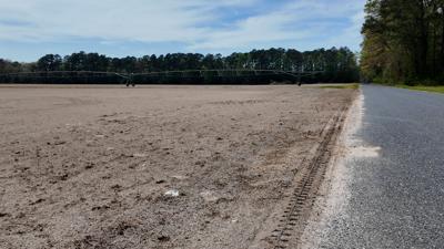 Quantico Creek Farms sod field