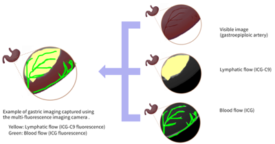 i-PRO Develops World's First Camera for Real-Time Imaging of Multiple Biological Signals Using Fluorescence Technology
