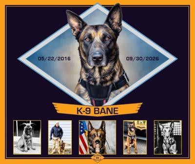 A tribute to DSP K9 Bane showing him through multiple phases of life