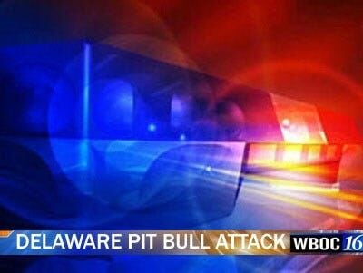Del. Police ID Victims in Fatal Pit Bull Attack