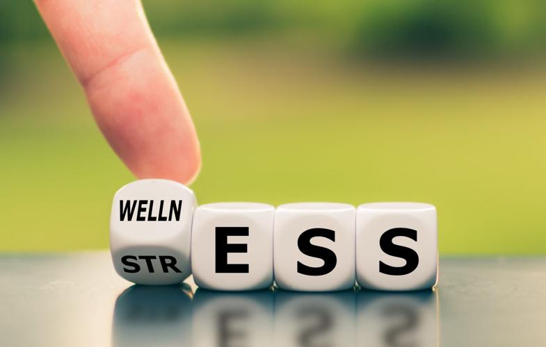 Wellness instead of stress. Hand turns a dice and changes the word “stress” to “wellness”.