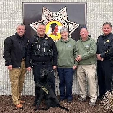New K9 Joins the Wicomico County Sheriff's Office | Latest News - Vimarsana News