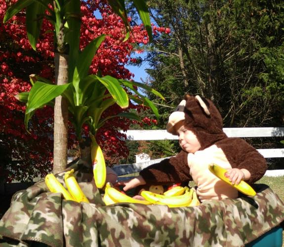 Ezra’s costume….pure cuteness