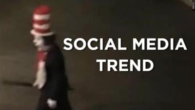"The Cat in the Hat" social media trend