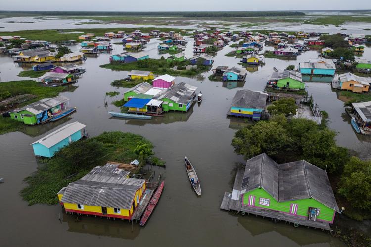 Climate Colombia Invasive Plants