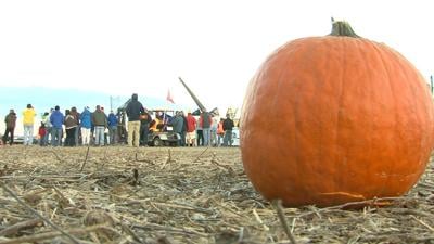 Punkin Chunkin Kicks Off After Two-Year Hiatus in Bridgeville