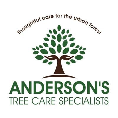 Anderson's Tree Care Warns San Jose Homeowners About Invasive Shothole Borer Threat