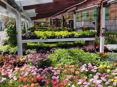 Simmons Center Market