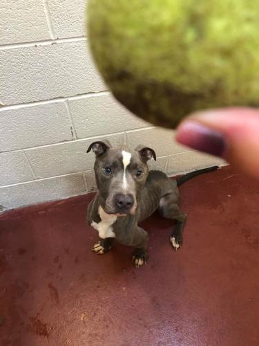 117646135_10224474506395692_6833320676392641503_o (1)