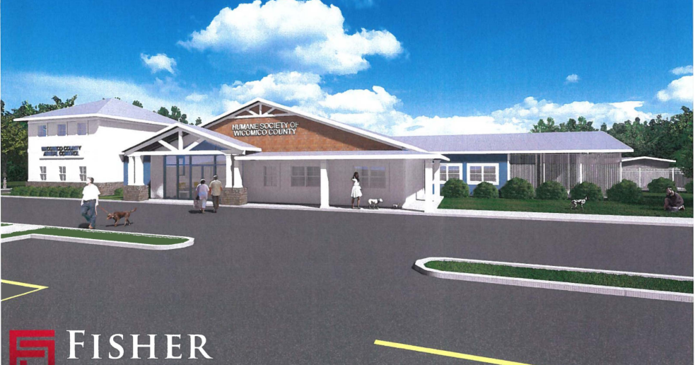 Humane Society of Wicomico County Seeks Move to New, Larger Facility - Vimarsana News