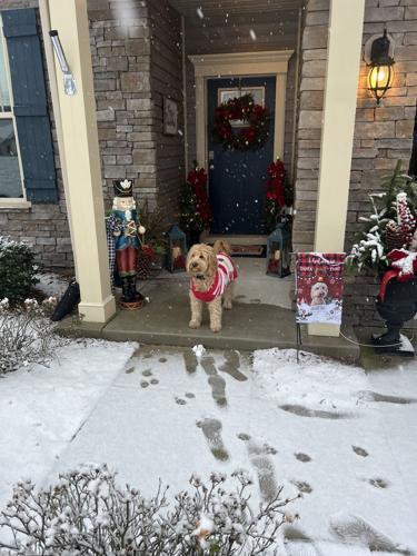 Laurie McCurdy Milton.jpg