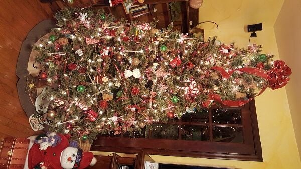 Tanya and Derek Atkison Tree