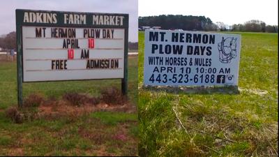 Travels With Charlie: Plow Days 2021