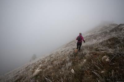 Best Treadmills for Trail Runners: Motor Power, Optimal Decline Range Explored