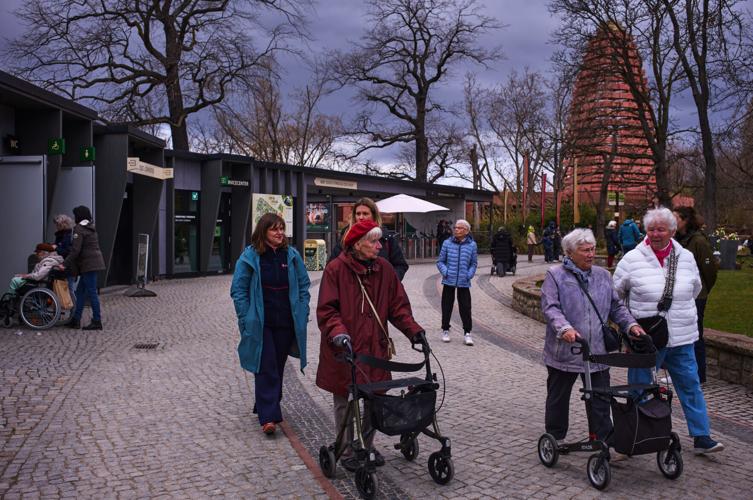 Germany Dementia Tours