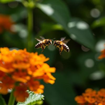 Honey Farm Outlines Label-Reading Guide in Earth Day 2026 Rollout