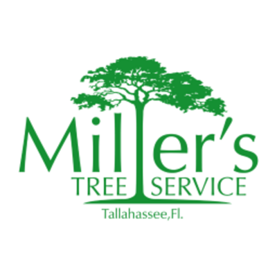 Miller's Tree Service Addresses Residential Tree Care Needs with Professional Tree Service in Tallahassee, FL