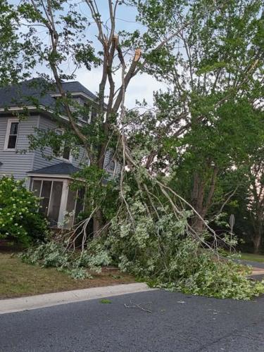 Delmar damage