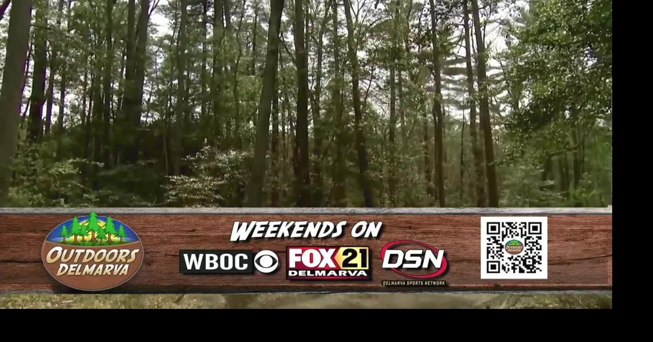 WBOC Sunday Morning News Latest Newscasts wboc com