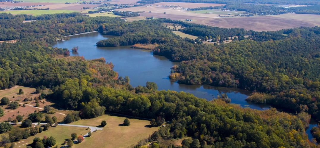 killens pond taylor1019