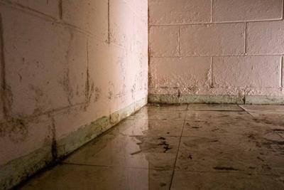 Why Pittsburgh's Topography Leads to Basement Flooding: A Homeowner's Guide