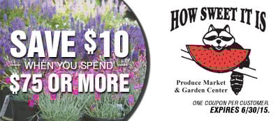 HowSweetItIs-SpG15_Coupon