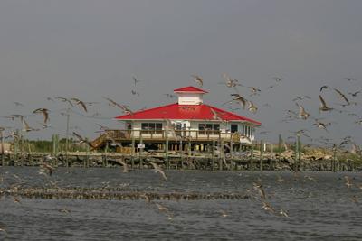DuPont Nature Center