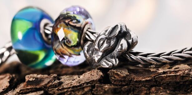 10646881_10152471906659842_3537026635778825063_n