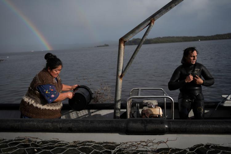 Chile Salmon Farms