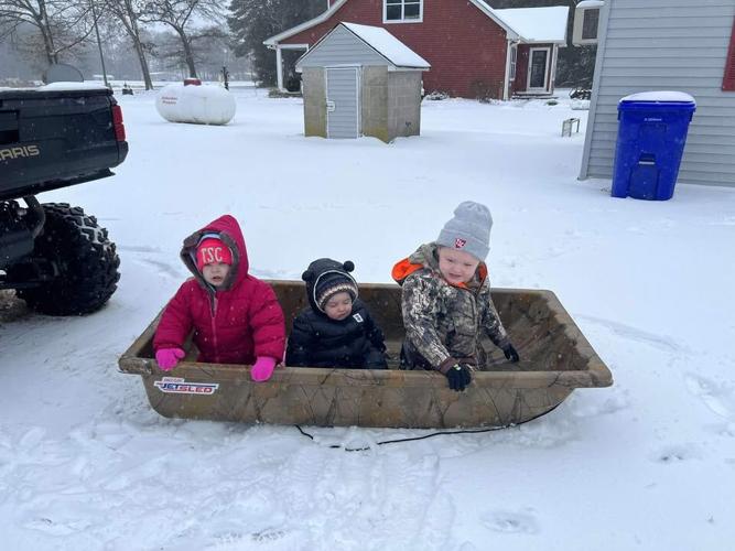 Jessica Hobbs - Gumboro.jpg