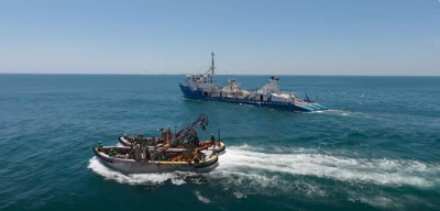 Atlantic Menhaden Recertified for Another Five Years as a Marine Stewardship Council Sustainable Fishery