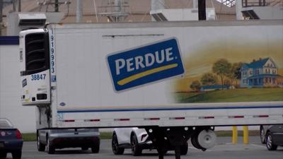 Perdue Truck